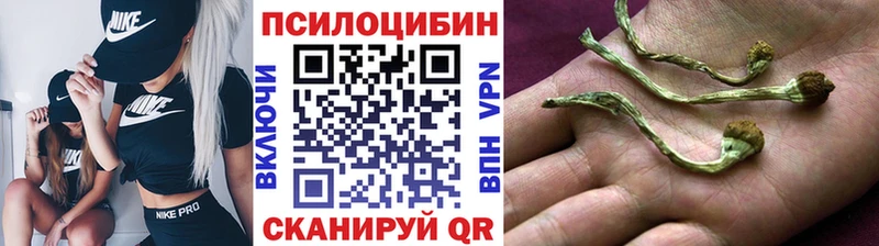 Псилоцибиновые грибы GOLDEN TEACHER  Североуральск 